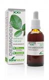 Extracto de Desmodens, 50 ml