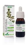 Extracto de Gayuba, 50ml